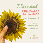 Taller Virtual de Prensado Botánico · 24 de junio