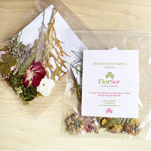 Paquete de Flores Prensadas FLORSER