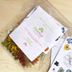 Taller Composición de Cuadros con Flores Prensadas